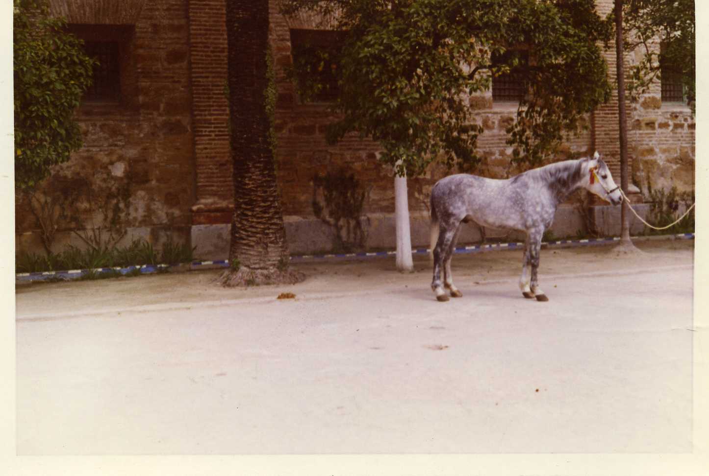 Vendido subasta 1975