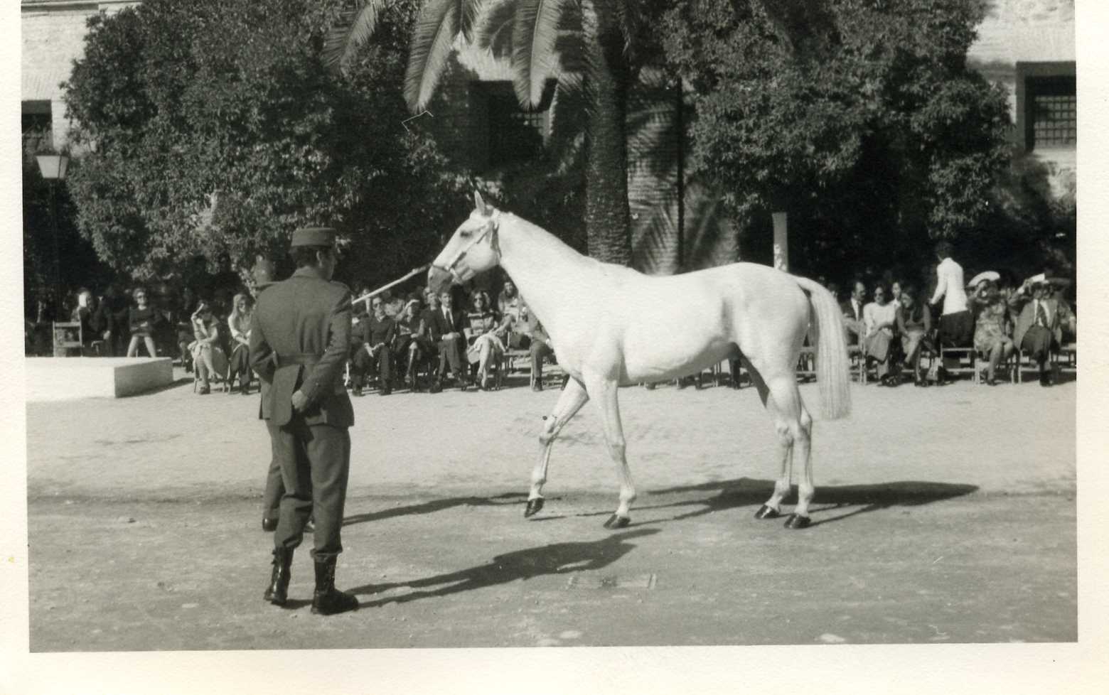 Depósito de Sementales de Córdoba