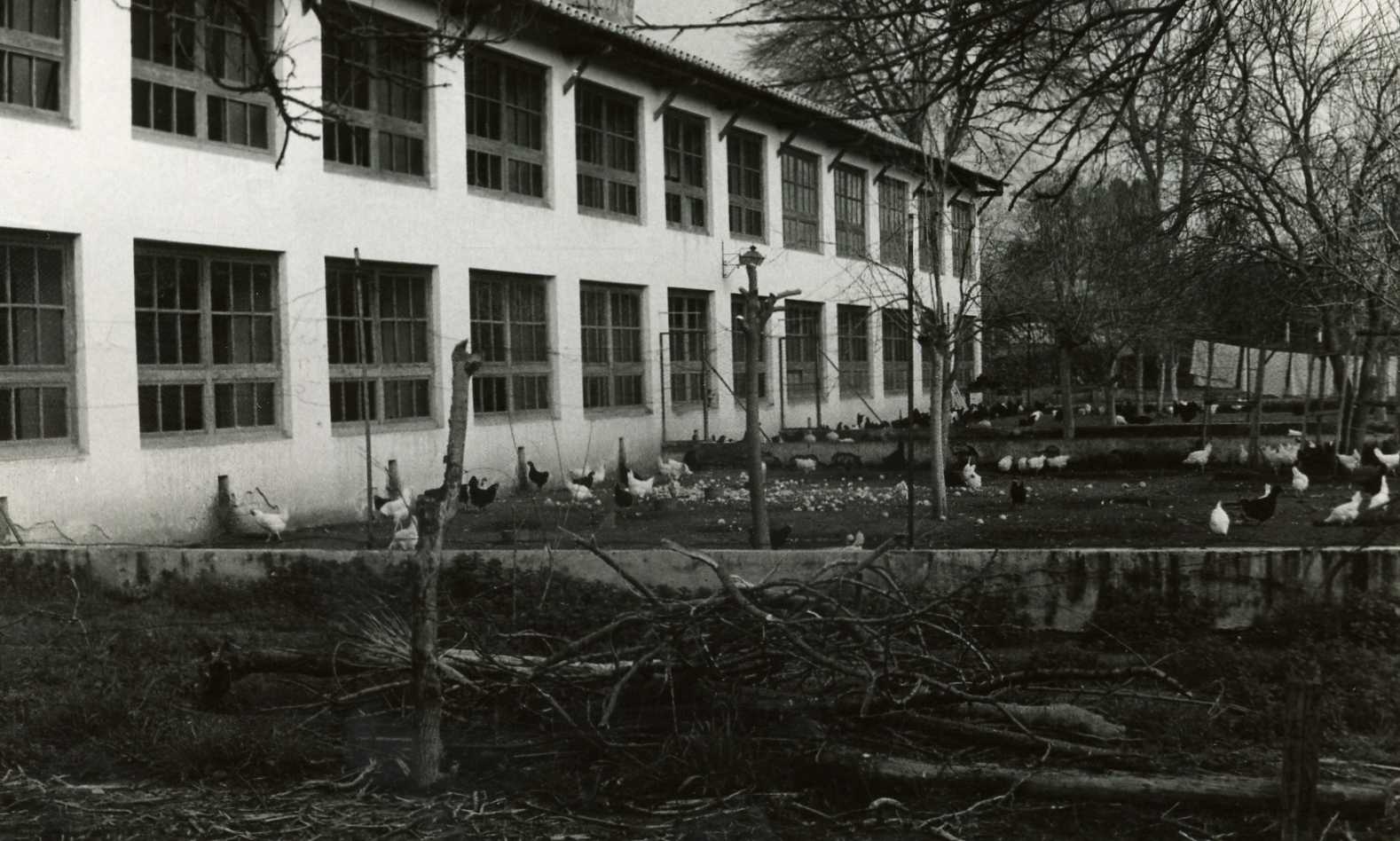 Depósito de Sementales de Córdoba