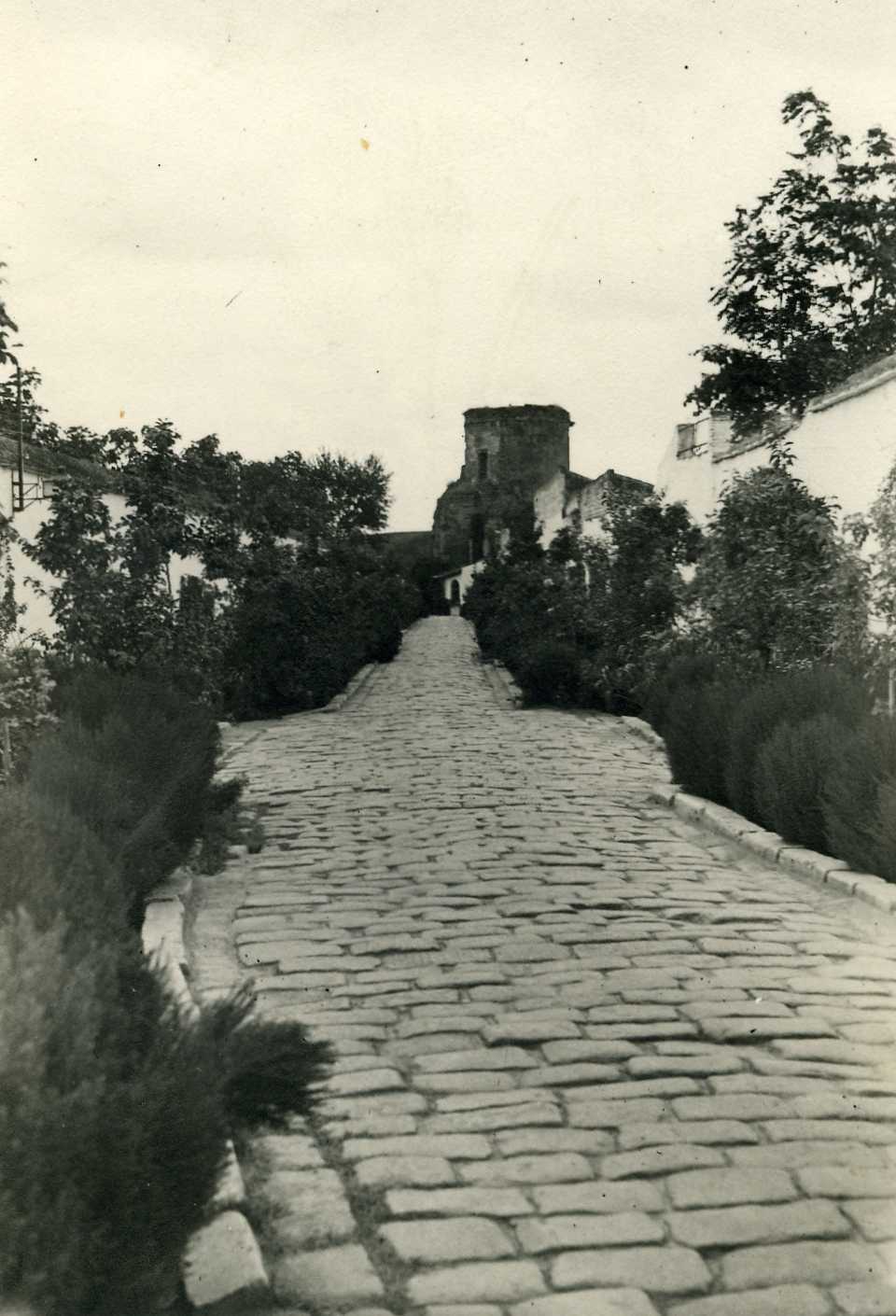 Depósito de Sementales de Córdoba