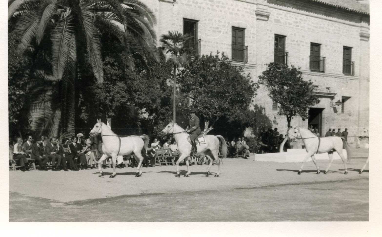 Caballos "Alamin" y "Habanero"