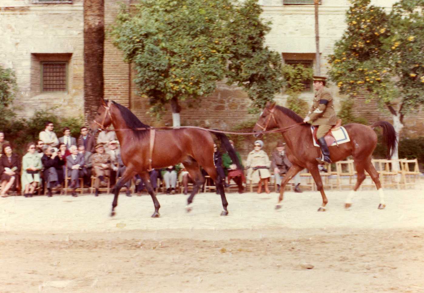 Mayoral Sgto. 1º Nadales