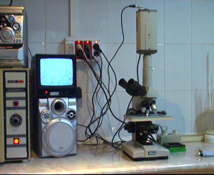 Comprobando la Calidad del Semen 4