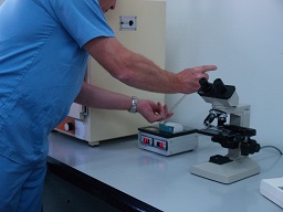 Comprobando la Calidad del Semen 2