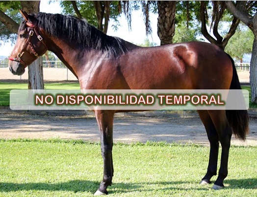 imagen carnet