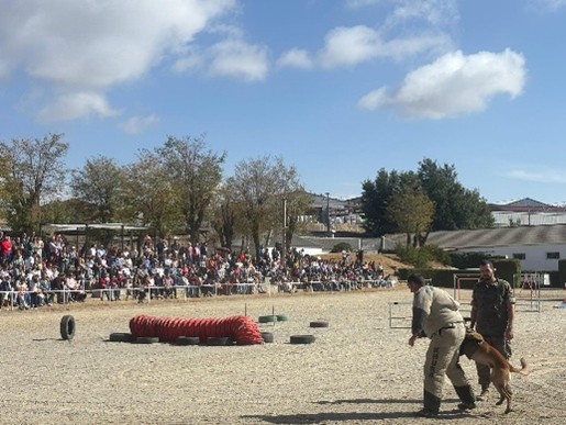 CMCC. de Ávila - Jornada de puertas abiertas por el DFN 2025