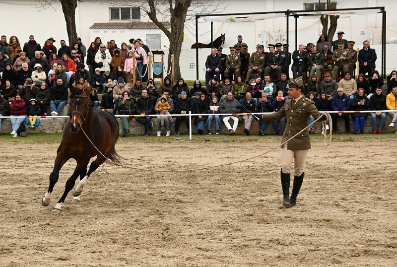 CMCC. de Ávila - Paradas 2026