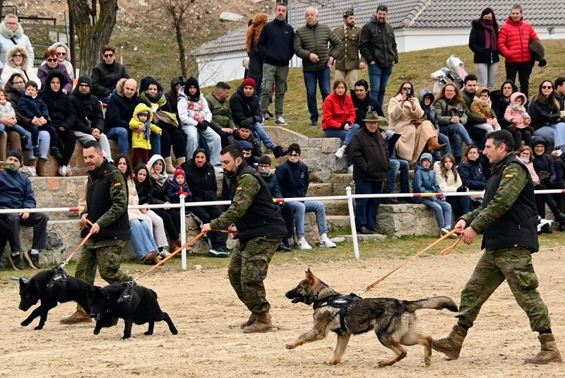 CMCC. de Ávila - Paradas 2026