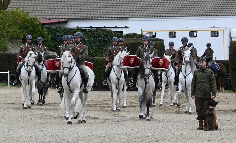 CMCC. de Ávila - Paradas 2026