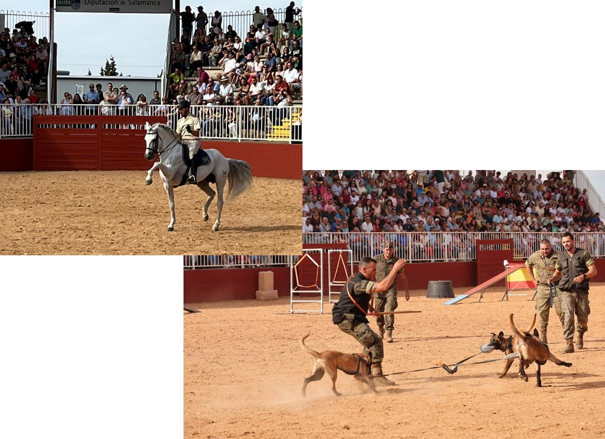 CMCC. de Ávila - Participación en la feria agropecuaria SALAMAQ '25 en Salamanca
