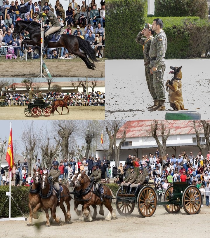 CMCC. de Ávila - Paradas 2024