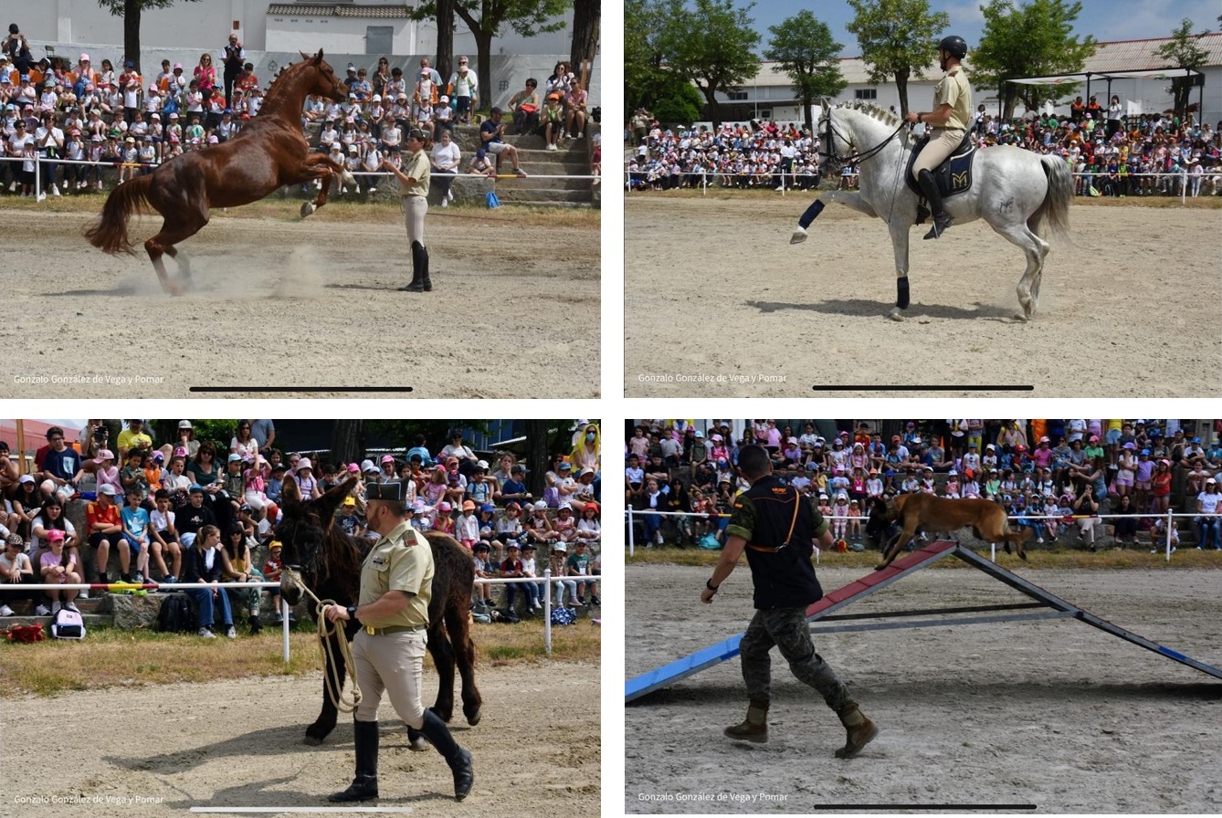 CMCC. de Ávila - Jornada de puertas abiertas semana de las FAS 2025