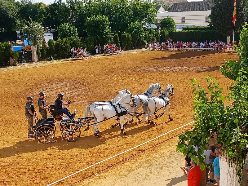 CMCE. de Écija - Jornada de puertas abiertas semana de las FAS 2025