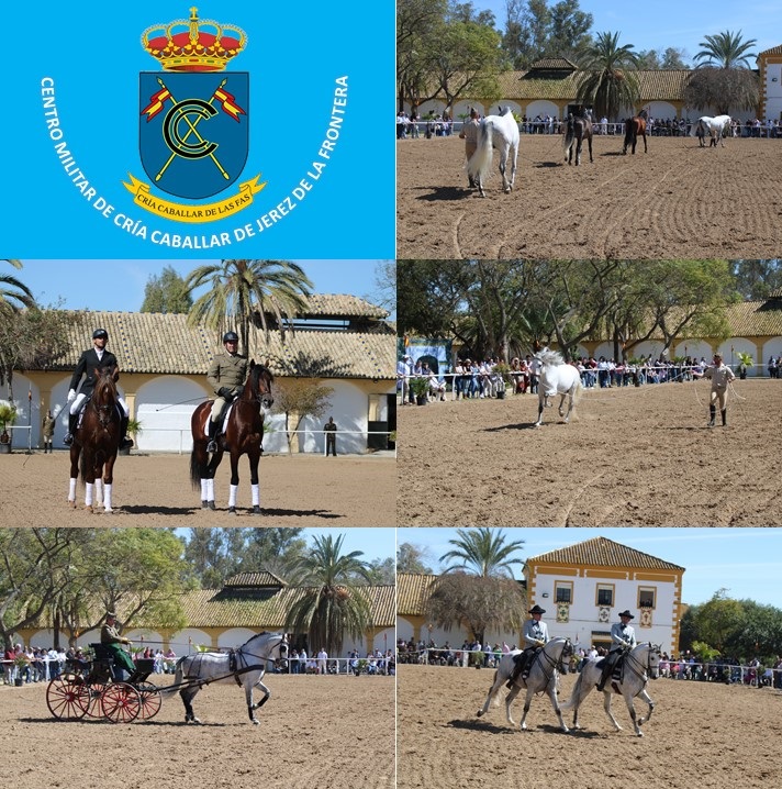 Presentación de sementales