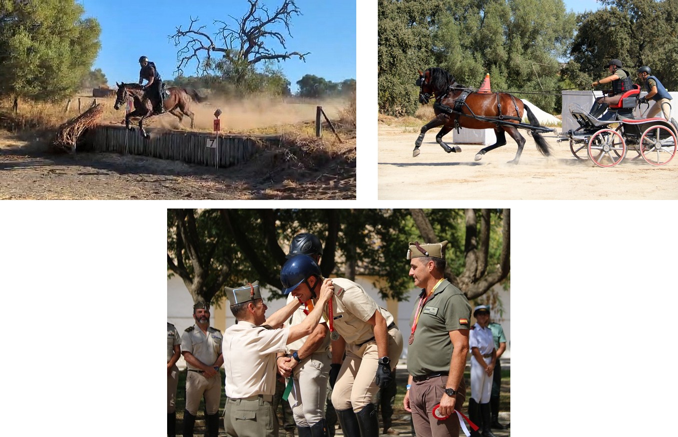 Concurso completo, enganches y entrega de medallas