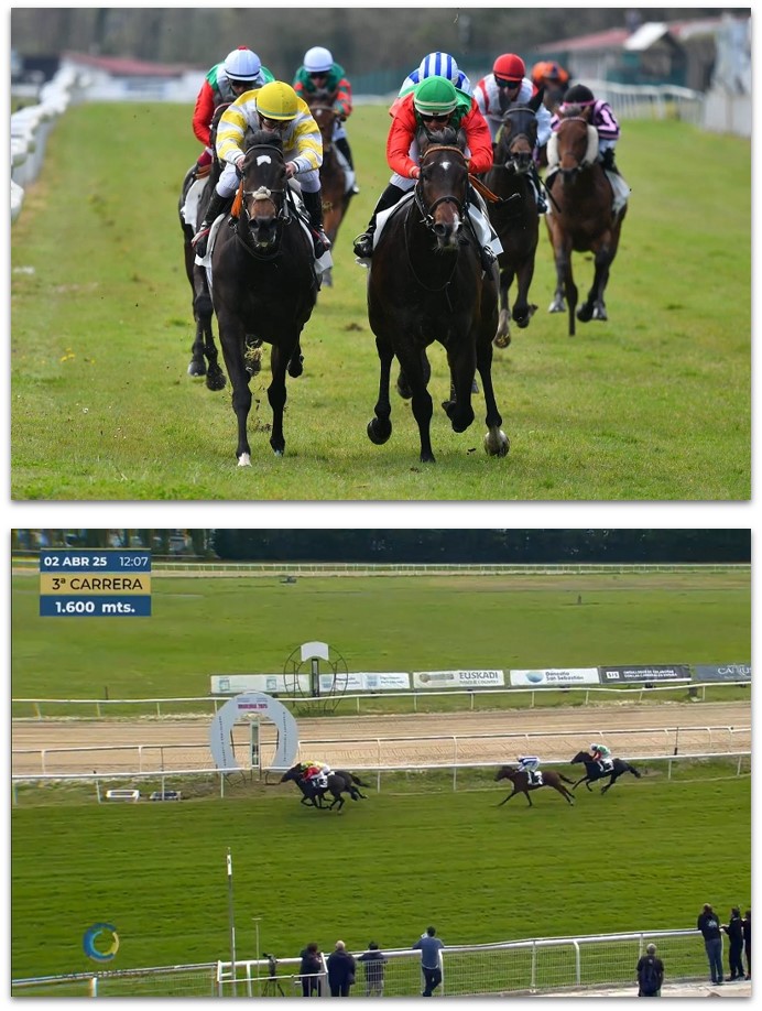 Éxitos de la yeguada Militar con Zapater