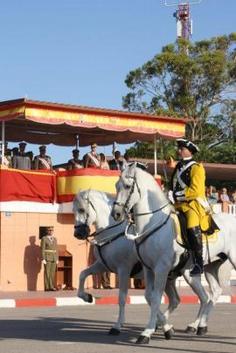 Las unidades de Caballería