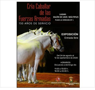  Caballos de la exposición 