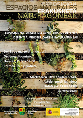 Cartel de la exposición