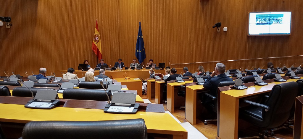 Comparecencia ante la Comisión de Defensa del Congreso de los Diputados