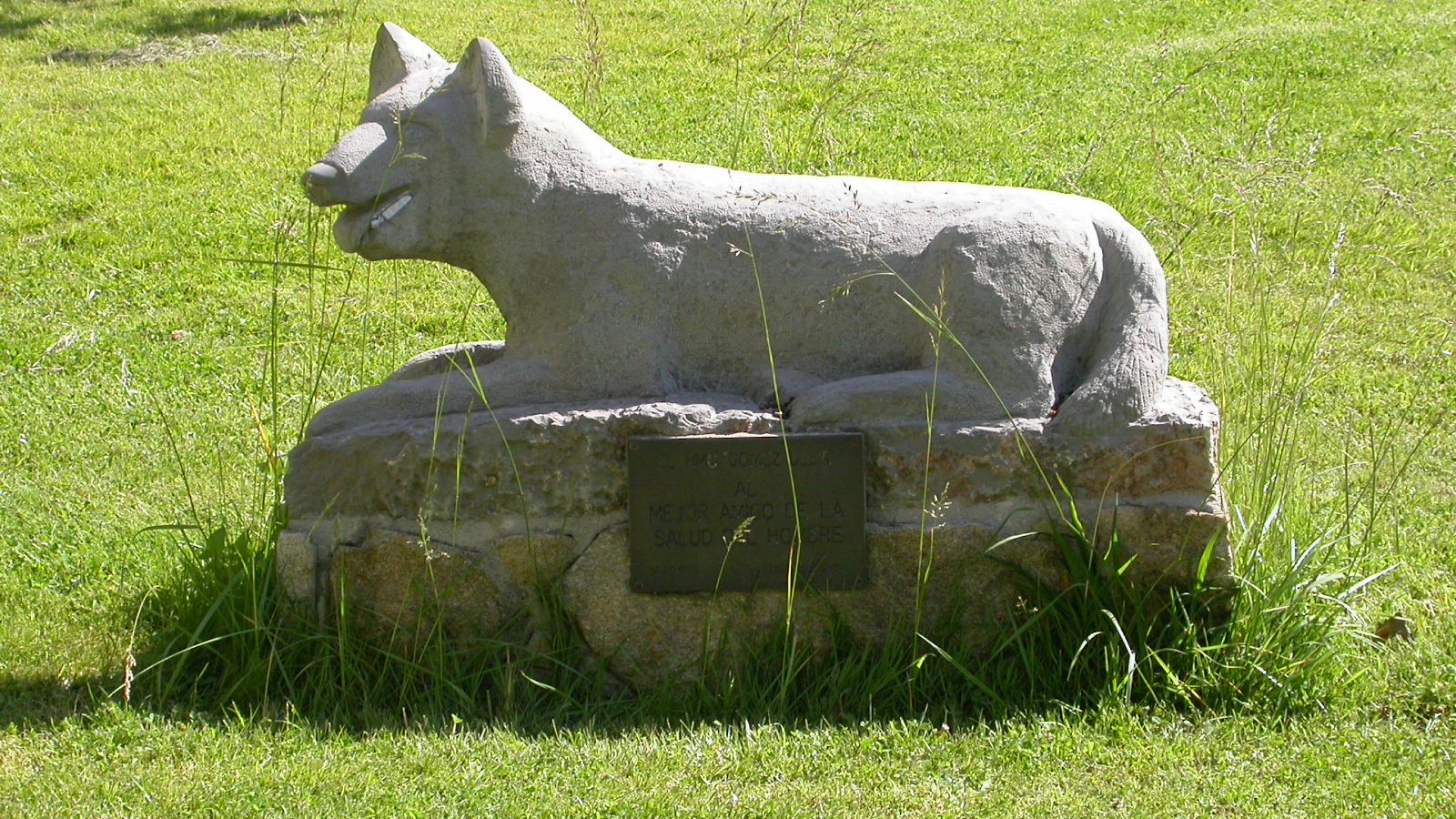 Servicios Veterinarios