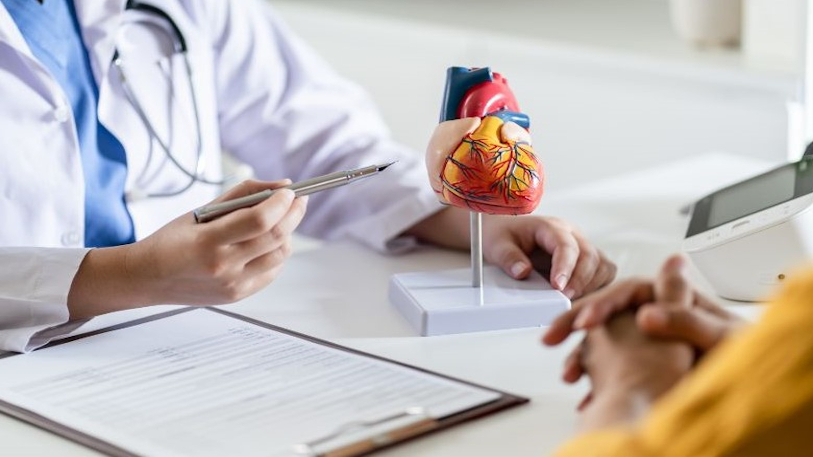 Docencia e Investigación