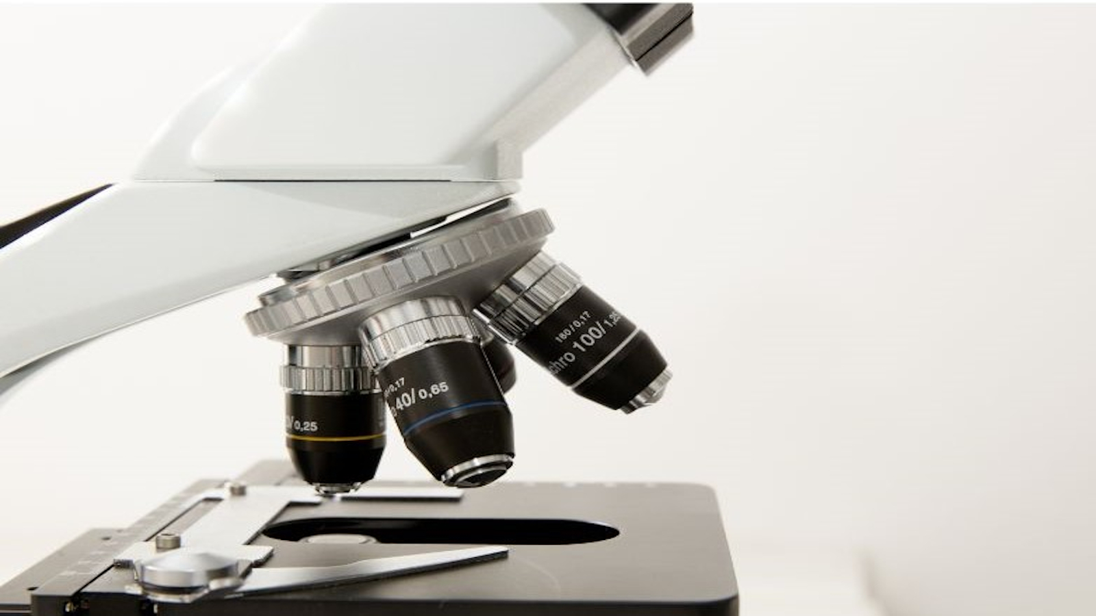 Docencia e Investigación