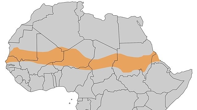 Sahel