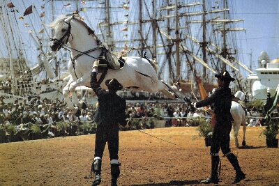 caballos_14