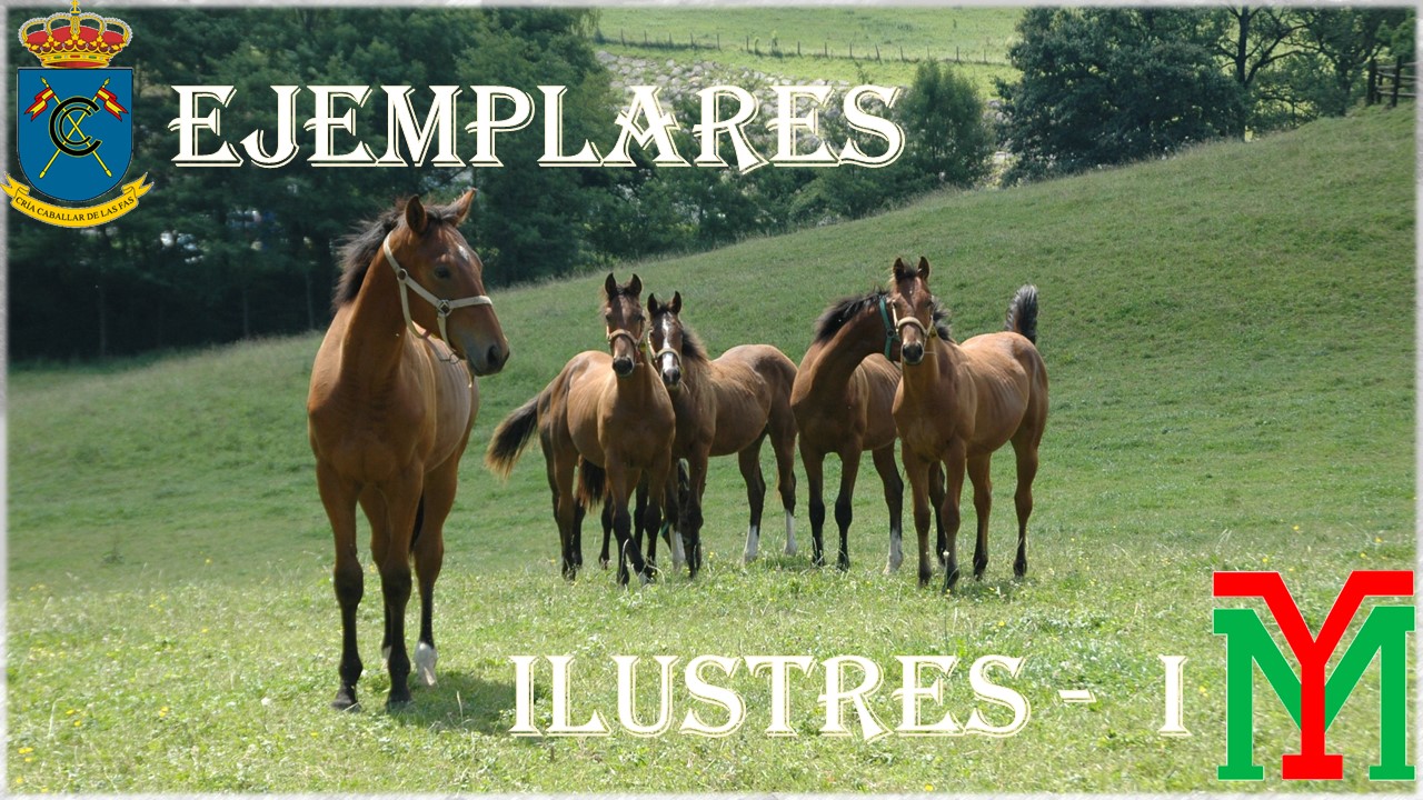 Portada_ejemplares_ilustres