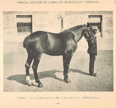 Caballo
