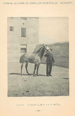 ALBUM DEL MINISTERIO DE LA GUERRA DE 1899