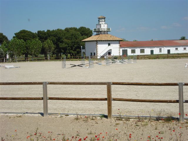 Centro Militar de Cría Caballar de Zaragoza