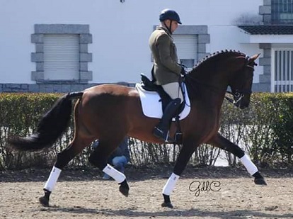Foto funcional