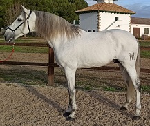 HERCULES_LXXIX-pequeno.jpg