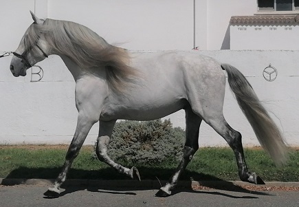 Foto funcional