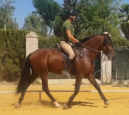 Foto funcional
