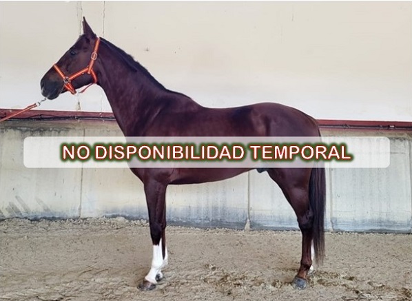 No disponible temporalmente