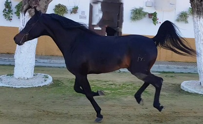 Foto funcional