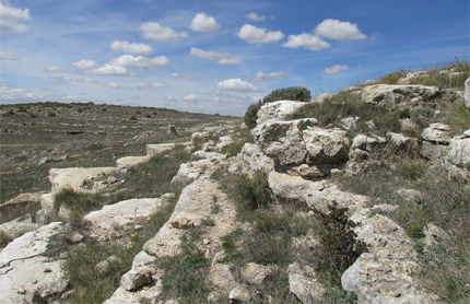 CENAD de Chinchilla de Monte Aragón