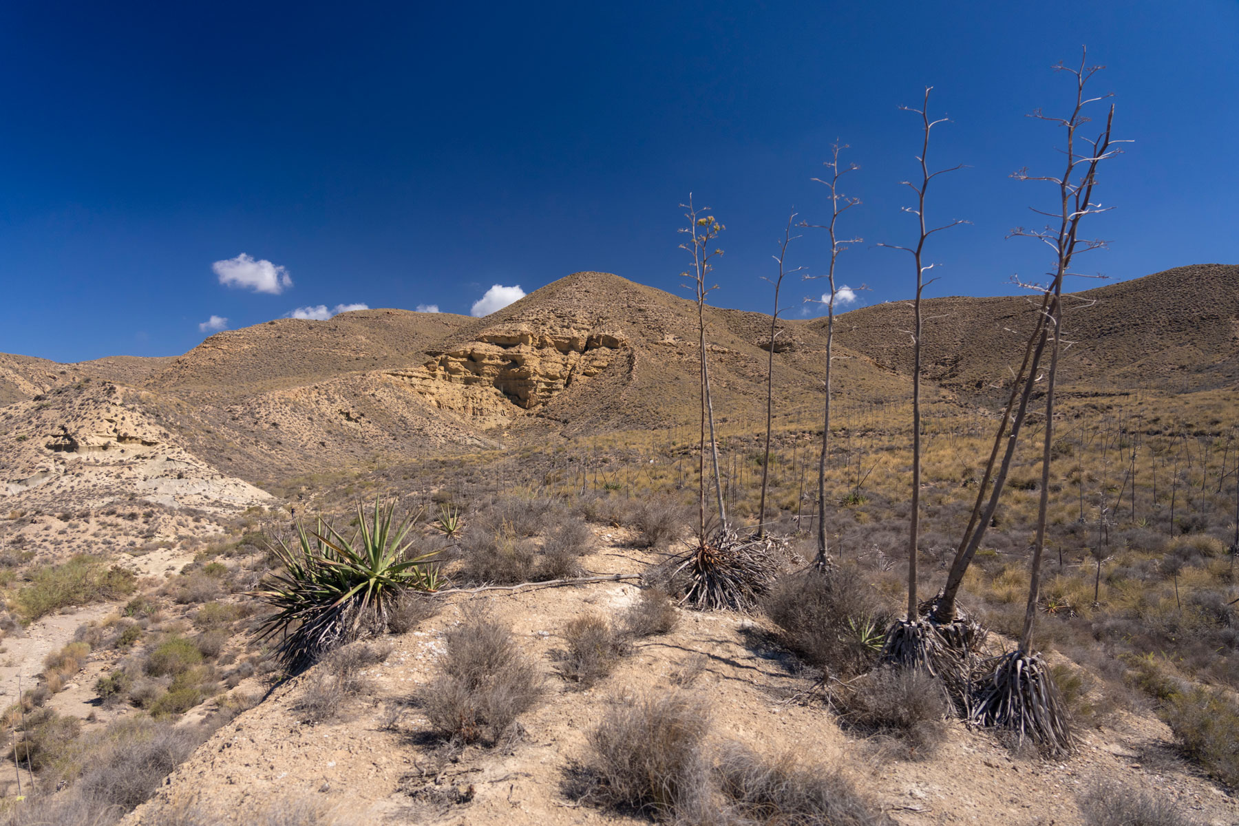 CMT Álvarez de Sotomayor (Almería)