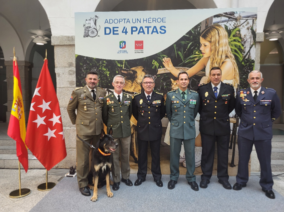 Adopta héroe de 4 patas