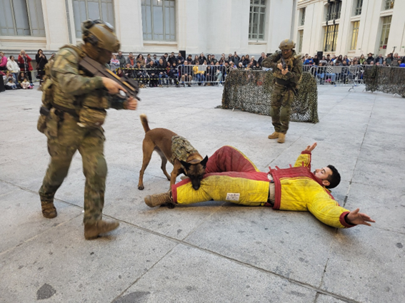 Realización ejercicio