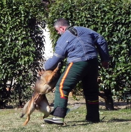 Adiestramiento en Seguridad y Combate