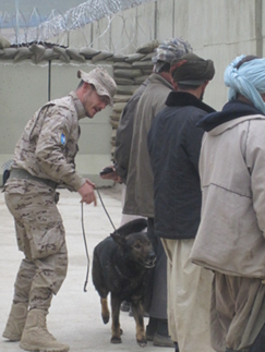 Perro Detector de Drogas y Estupefacientes