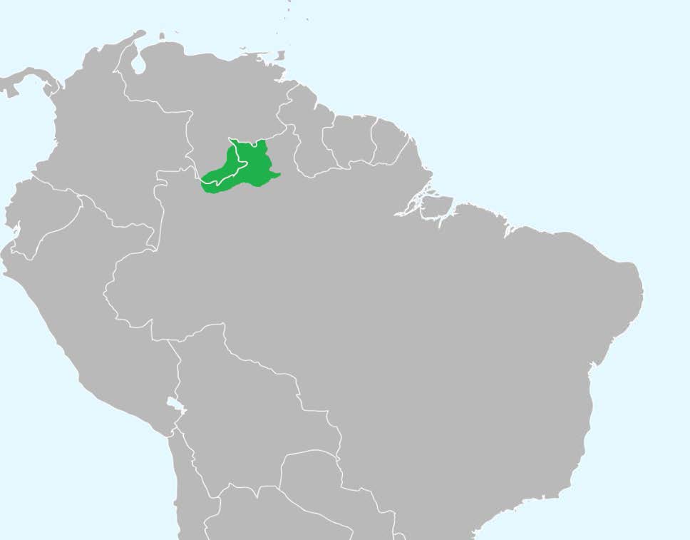 Territorios yanomami