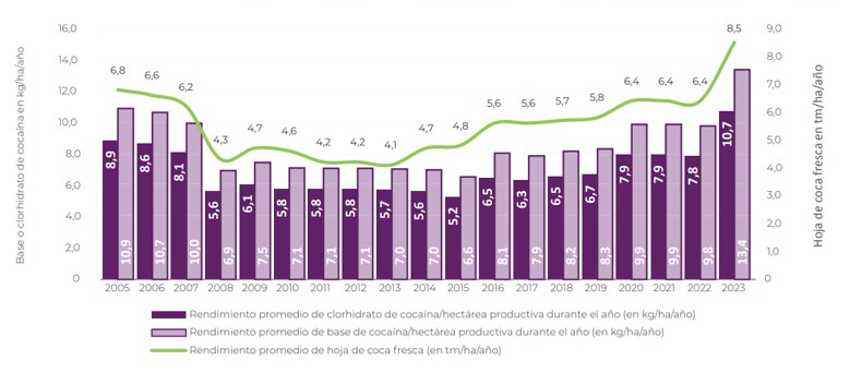 Productividad promedio del clorhidrato de cocaína (2005-2024)