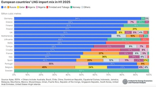Mix de las importaciones de GNL de los países europeos en el primer semestre de 2025