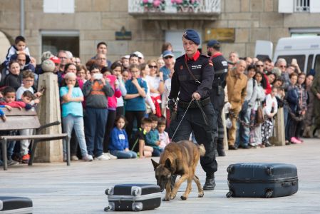 Actividades del Ejercicio de la Guardia Real Orense 2017