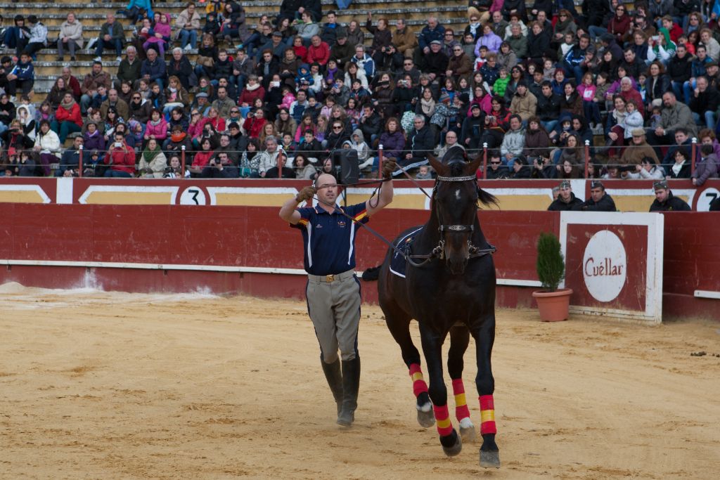 Actividades del Ejercicio de la Guardia Real Segovia 2014